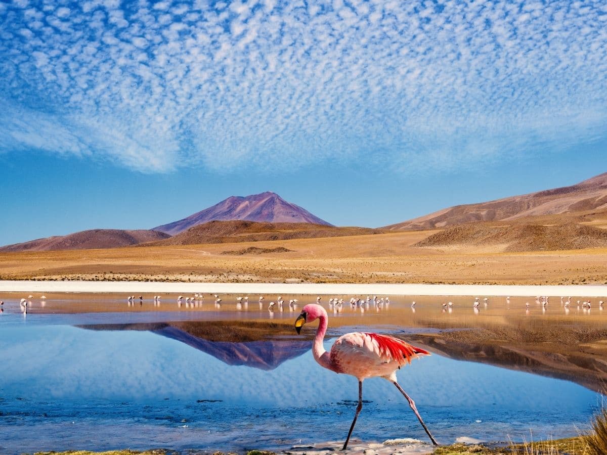 PERU - BOLİVYA, görsel 9