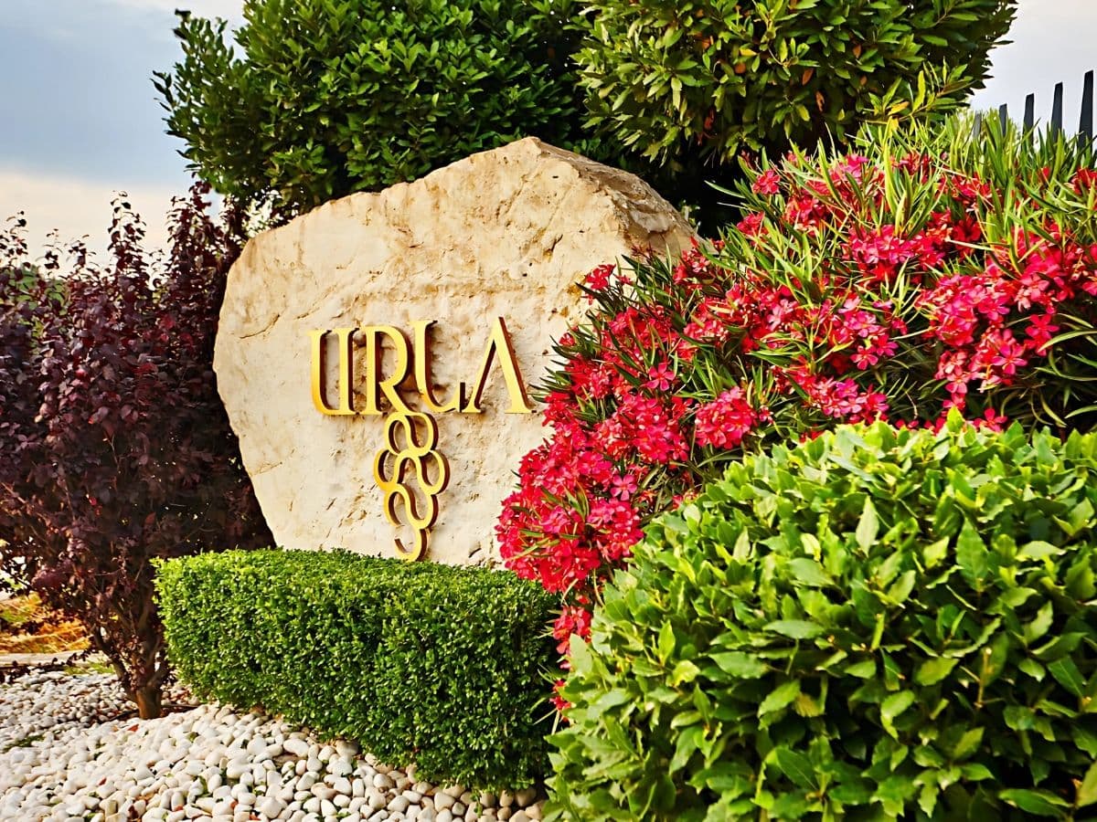 URLA VE SAKIZ