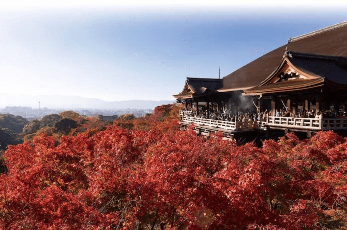 KOYO ZAMANI JAPONYA