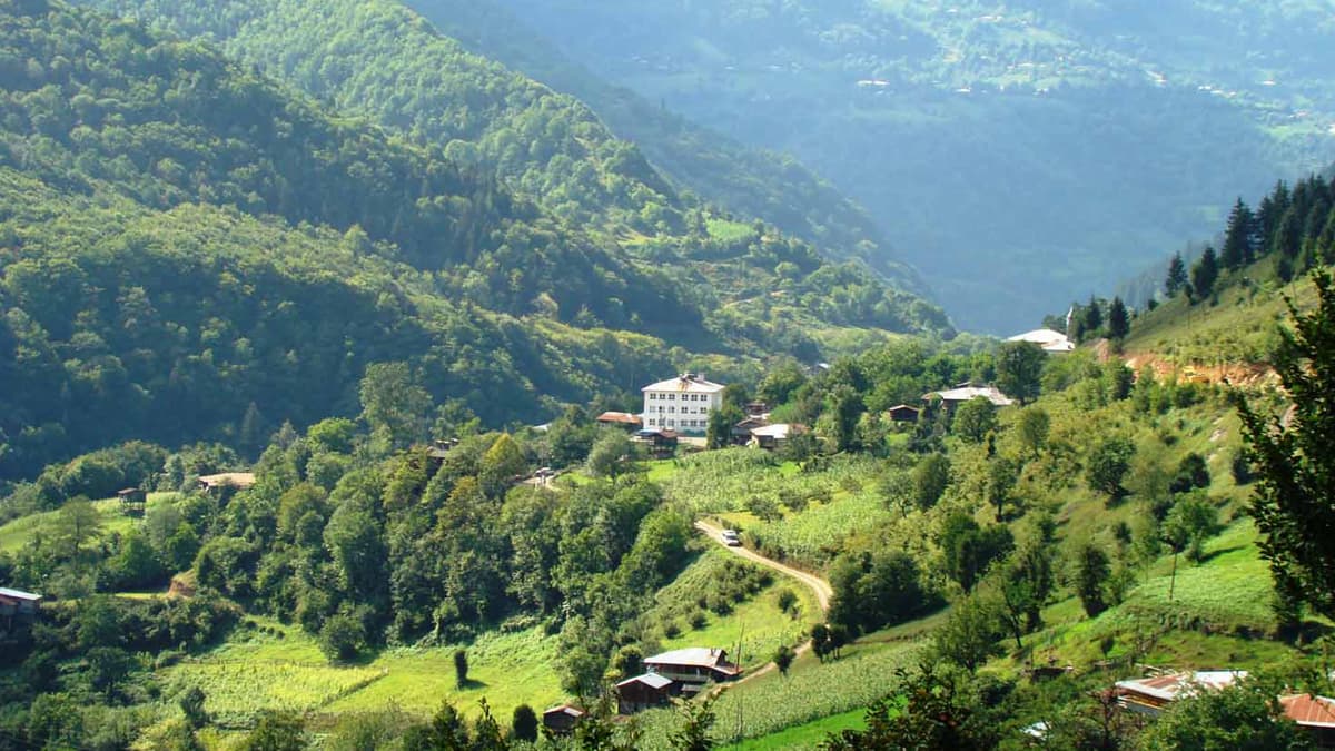 Tur görseli