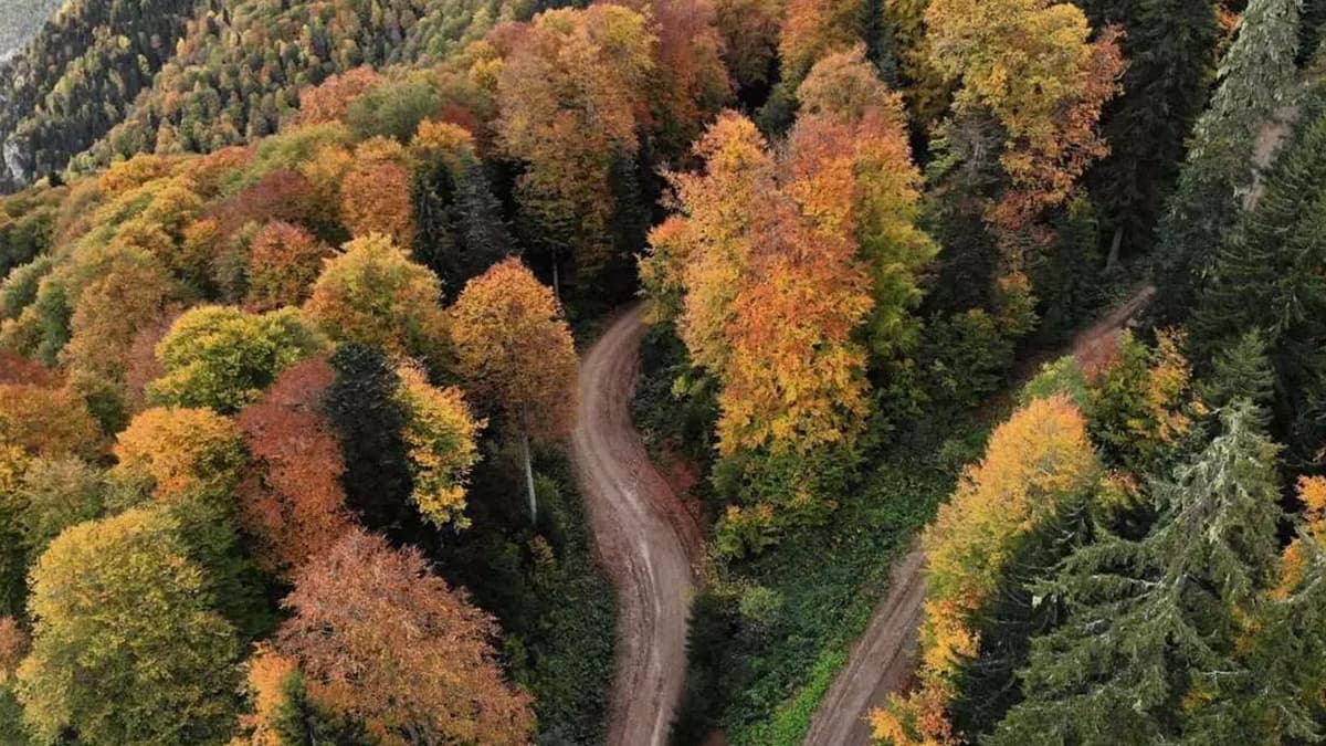 HATTUŞA - ALACAHÖYÜK - ÇORUM, görsel 1