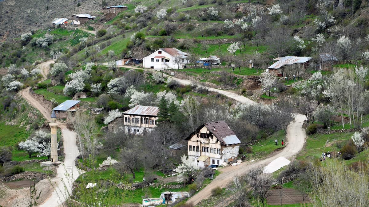 Tur görseli