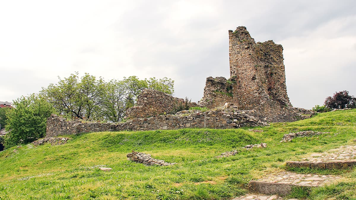 Tur görseli