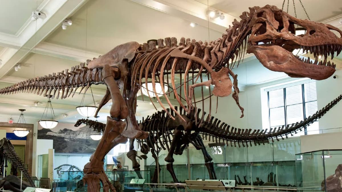 KUTUP YILDIZI İLE NEW YORK’TA MÜZİK VE SANAT, görsel 5