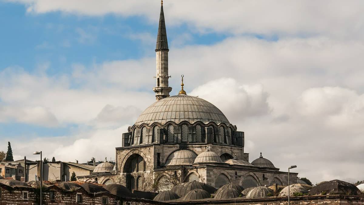 EDİRNE - İĞNEADA - LONGOZ ORMANLARI, görsel 2